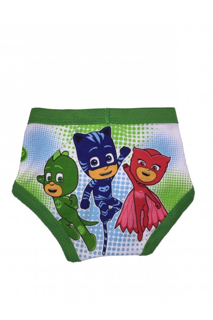 Briefs 