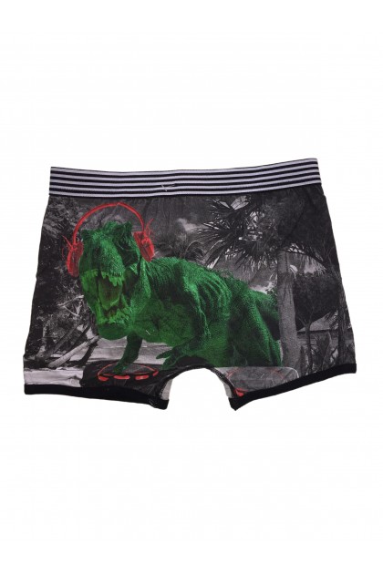 Boxers 