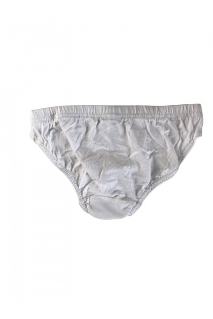 Briefs 