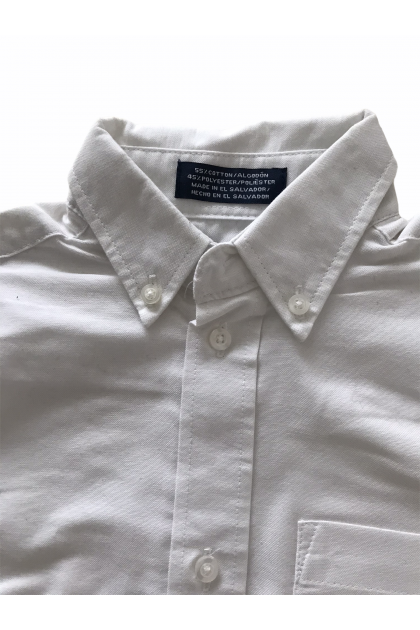 Shirt IZOD