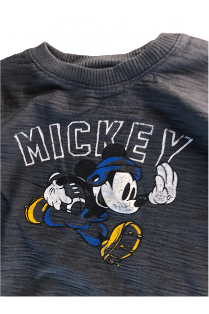 Blouse Disney