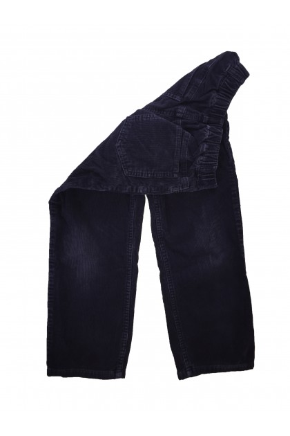 Pants Lands'End