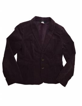 Blazer J. Crew